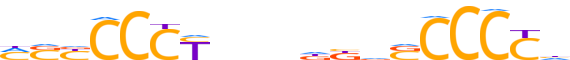 ZBTB41.H13CORE.0.PSG.A reverse-complement motif logo (ZBTB41 gene, ZBT41_HUMAN protein)