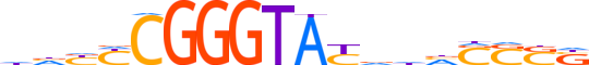 ZBTB8B.H13CORE.0.PSGI.A motif logo (ZBTB8B gene, ZBT8B_HUMAN protein)