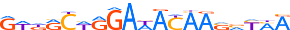 ZFP69.H13CORE.0.P.C motif logo (ZFP69 gene, ZFP69_HUMAN protein)