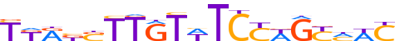 ZFP69.H13CORE.0.P.C reverse-complement motif logo (ZFP69 gene, ZFP69_HUMAN protein)