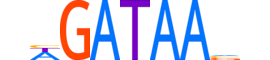 ZFPM1.H13CORE.0.I.C reverse-complement motif logo (ZFPM1 gene, FOG1_HUMAN protein)