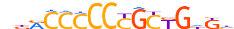 ZIC1.H13CORE.2.S.B reverse-complement motif logo (ZIC1 gene, ZIC1_HUMAN protein)