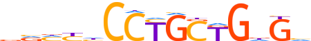 ZIC2.H13CORE.0.P.B reverse-complement motif logo (ZIC2 gene, ZIC2_HUMAN protein)