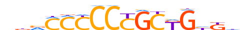 ZIC3.H13CORE.1.S.B reverse-complement motif logo (ZIC3 gene, ZIC3_HUMAN protein)