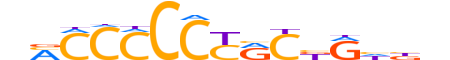 ZIC4.H13CORE.0.SM.B reverse-complement motif logo (ZIC4 gene, ZIC4_HUMAN protein)