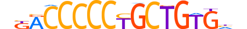 ZIC5.H13CORE.1.M.C reverse-complement motif logo (ZIC5 gene, ZIC5_HUMAN protein)