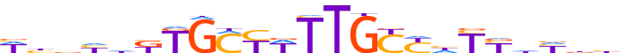 ZIK1.H13CORE.0.P.C reverse-complement motif logo (ZIK1 gene, ZIK1_HUMAN protein)