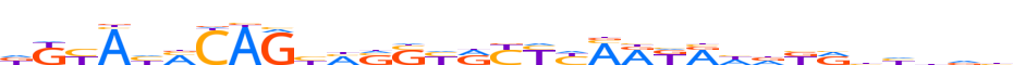 ZKSC8.H13CORE.0.P.B reverse-complement motif logo (ZKSCAN8 gene, ZKSC8_HUMAN protein)