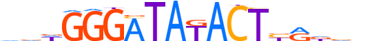 ZKSCAN4.H13CORE.0.SG.A reverse-complement motif logo (ZKSCAN4 gene, ZKSC4_HUMAN protein)