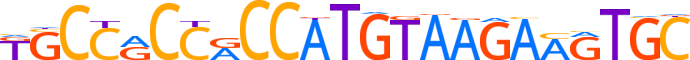 ZN100.H13CORE.0.P.B reverse-complement motif logo (ZNF100 gene, ZN100_HUMAN protein)