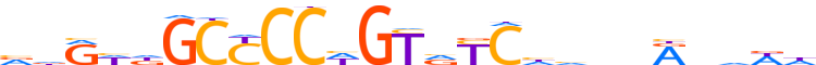 ZN101.H13CORE.0.P.C reverse-complement motif logo (ZNF101 gene, ZN101_HUMAN protein)