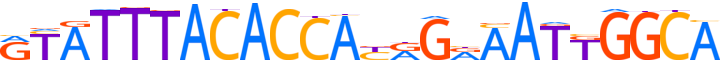 ZN112.H13CORE.0.P.C reverse-complement motif logo (ZNF112 gene, ZN112_HUMAN protein)