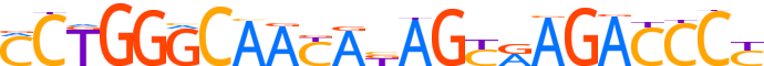 ZN121.H13CORE.0.P.B motif logo (ZNF121 gene, ZN121_HUMAN protein)