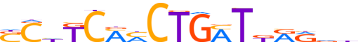 ZN134.H13CORE.0.P.C reverse-complement motif logo (ZNF134 gene, ZN134_HUMAN protein)