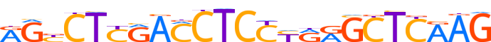 ZN135.H13CORE.0.P.C motif logo (ZNF135 gene, ZN135_HUMAN protein)