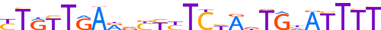 ZN160.H13CORE.0.P.C reverse-complement motif logo (ZNF160 gene, ZN160_HUMAN protein)