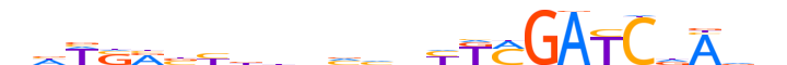 ZN177.H13CORE.0.SM.B motif logo (ZNF177 gene, ZN177_HUMAN protein)