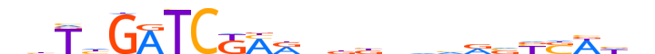 ZN177.H13CORE.0.SM.B reverse-complement motif logo (ZNF177 gene, ZN177_HUMAN protein)