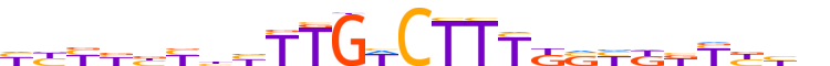 ZN197.H13CORE.0.P.C motif logo (ZNF197 gene, ZN197_HUMAN protein)