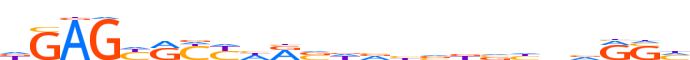 ZN205.H13CORE.0.P.C motif logo (ZNF205 gene, ZN205_HUMAN protein)