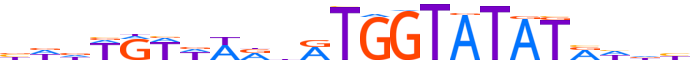 ZN211.H13CORE.1.P.C motif logo (ZNF211 gene, ZN211_HUMAN protein)