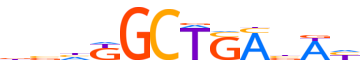 ZN222.H13CORE.0.P.C reverse-complement motif logo (ZNF222 gene, ZN222_HUMAN protein)