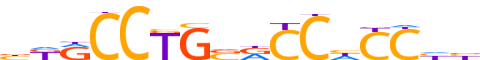 ZN223.H13CORE.0.P.C reverse-complement motif logo (ZNF223 gene, ZN223_HUMAN protein)