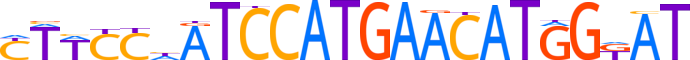 ZN248.H13CORE.0.P.B reverse-complement motif logo (ZNF248 gene, ZN248_HUMAN protein)