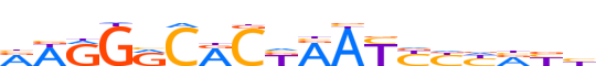 ZN264.H13CORE.0.P.B motif logo (ZNF264 gene, ZN264_HUMAN protein)