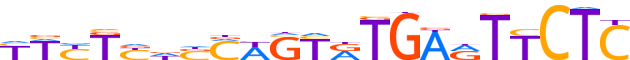 ZN274.H13CORE.1.P.B reverse-complement motif logo (ZNF274 gene, ZN274_HUMAN protein)