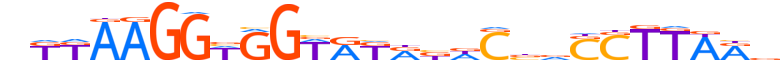 ZN276.H13CORE.0.SM.B motif logo (ZNF276 gene, ZN276_HUMAN protein)