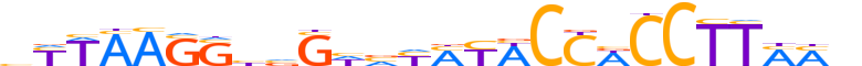 ZN276.H13CORE.0.SM.B reverse-complement motif logo (ZNF276 gene, ZN276_HUMAN protein)