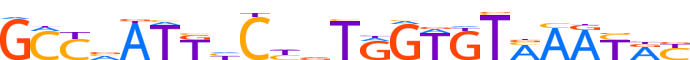 ZN285.H13CORE.0.P.C motif logo (ZNF285 gene, ZN285_HUMAN protein)