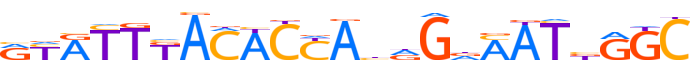 ZN285.H13CORE.0.P.C reverse-complement motif logo (ZNF285 gene, ZN285_HUMAN protein)