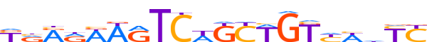 ZN317.H13CORE.0.P.B reverse-complement motif logo (ZNF317 gene, ZN317_HUMAN protein)