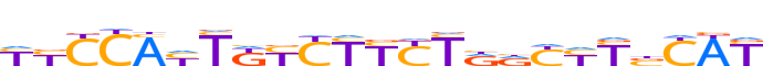 ZN317.H13CORE.1.P.B reverse-complement motif logo (ZNF317 gene, ZN317_HUMAN protein)