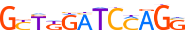 ZN329.H13CORE.1.P.C reverse-complement motif logo (ZNF329 gene, ZN329_HUMAN protein)