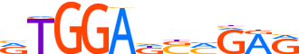 ZN333.H13CORE.0.P.C motif logo (ZNF333 gene, ZN333_HUMAN protein)