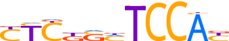 ZN333.H13CORE.0.P.C reverse-complement motif logo (ZNF333 gene, ZN333_HUMAN protein)