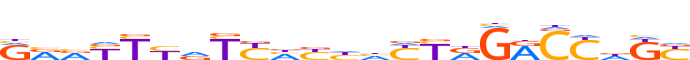 ZN337.H13CORE.0.P.C motif logo (ZNF337 gene, ZN337_HUMAN protein)