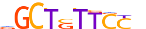 ZN341.H13CORE.0.P.B reverse-complement motif logo (ZNF341 gene, ZN341_HUMAN protein)