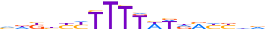 ZN350.H13CORE.0.P.B motif logo (ZNF350 gene, ZN350_HUMAN protein)