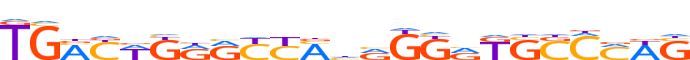 ZN416.H13CORE.0.P.C motif logo (ZNF416 gene, ZN416_HUMAN protein)