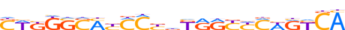 ZN416.H13CORE.0.P.C reverse-complement motif logo (ZNF416 gene, ZN416_HUMAN protein)