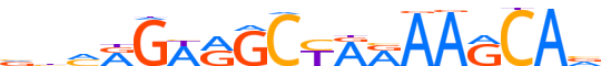 ZN418.H13CORE.0.P.B reverse-complement motif logo (ZNF418 gene, ZN418_HUMAN protein)