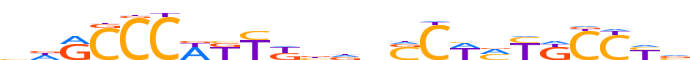 ZN429.H13CORE.0.P.C motif logo (ZNF429 gene, ZN429_HUMAN protein)