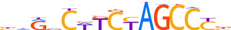 ZN431.H13CORE.0.P.C reverse-complement motif logo (ZNF431 gene, ZN431_HUMAN protein)