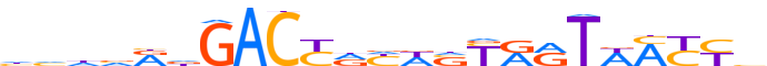 ZN433.H13CORE.0.P.C reverse-complement motif logo (ZNF433 gene, ZN433_HUMAN protein)