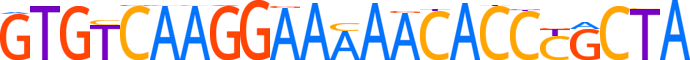 ZN443.H13CORE.0.P.C reverse-complement motif logo (ZNF443 gene, ZN443_HUMAN protein)