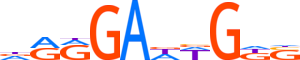 ZN480.H13CORE.1.P.C reverse-complement motif logo (ZNF480 gene, ZN480_HUMAN protein)